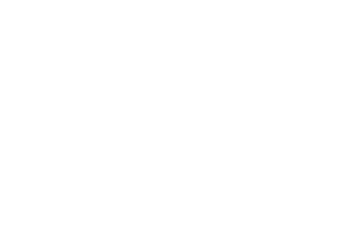 pinto_favicon